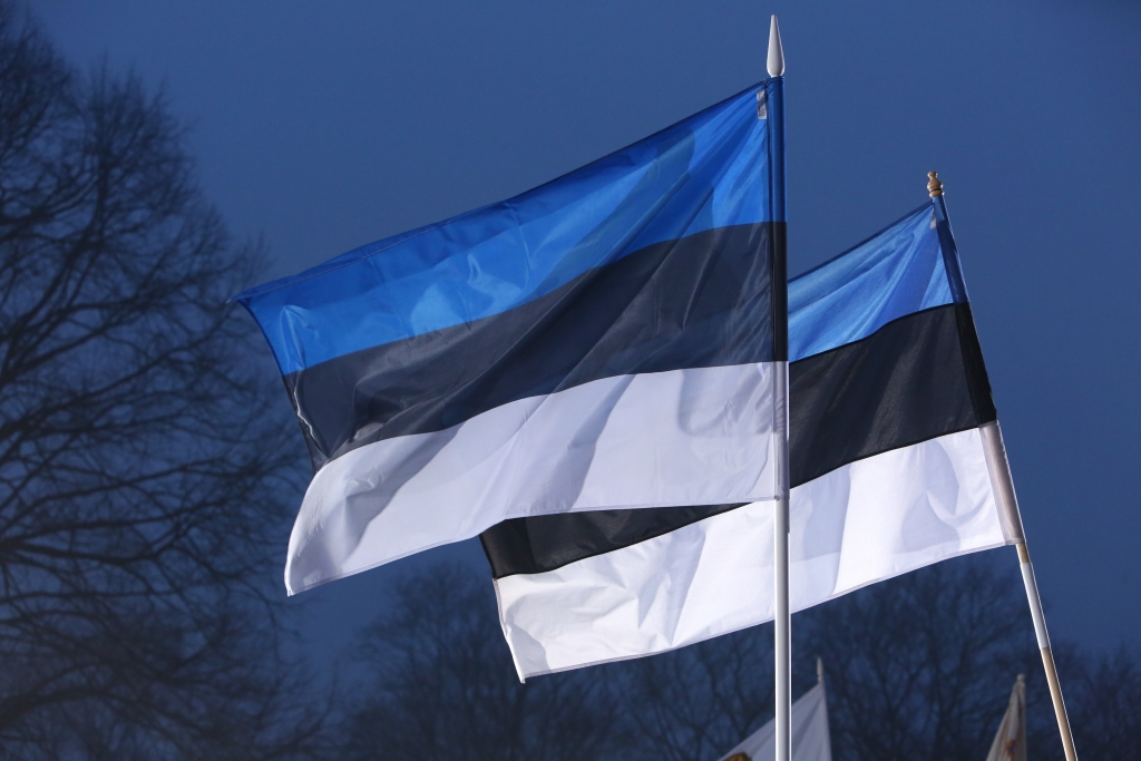 Eesti lipp.jpg
