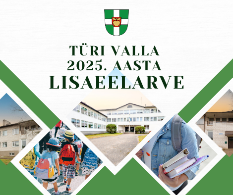 Lisa eelarve 2025.png