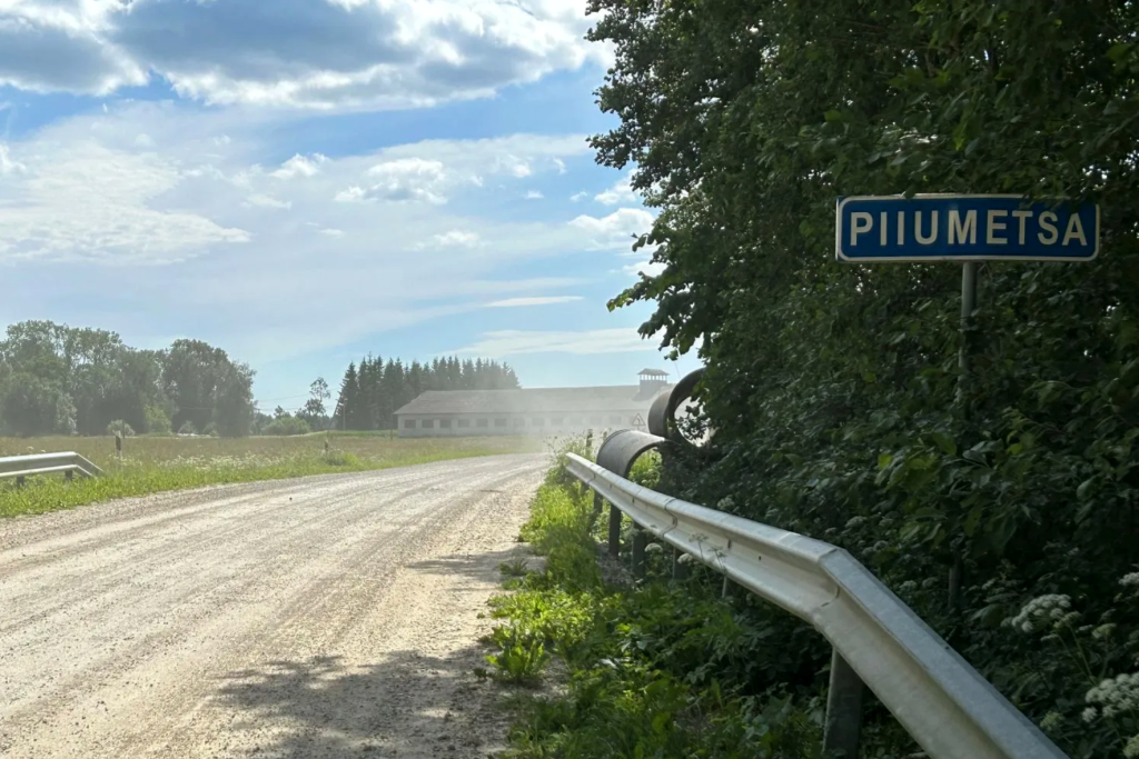 Piiumetsa sild.png