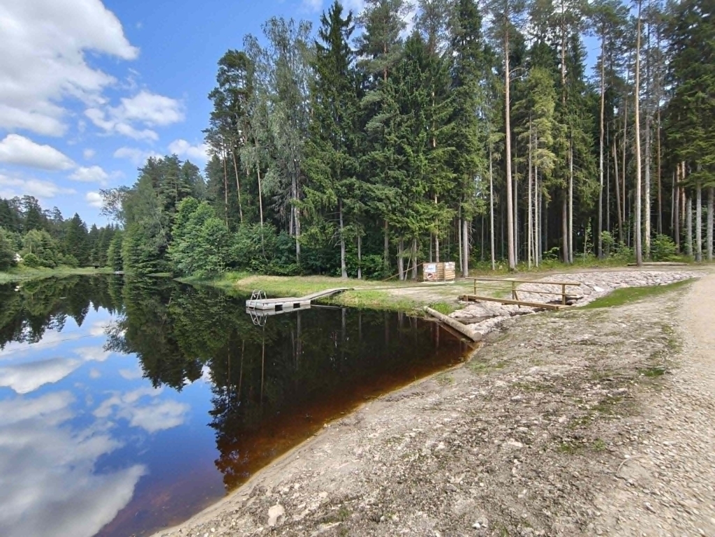 Tagametsa ujumiskoht.jpg